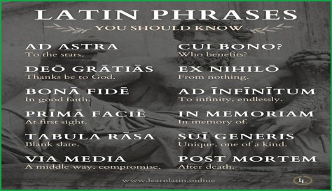 A Profile Of A Latin Beauty