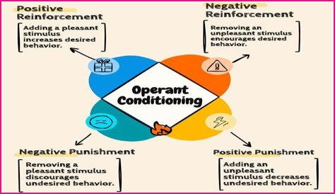 Is operant conditioning a theory?